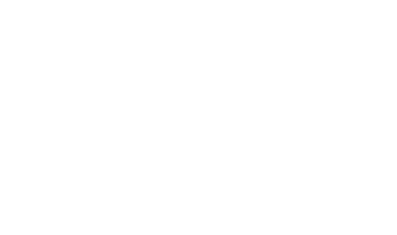 Optimoroute logo